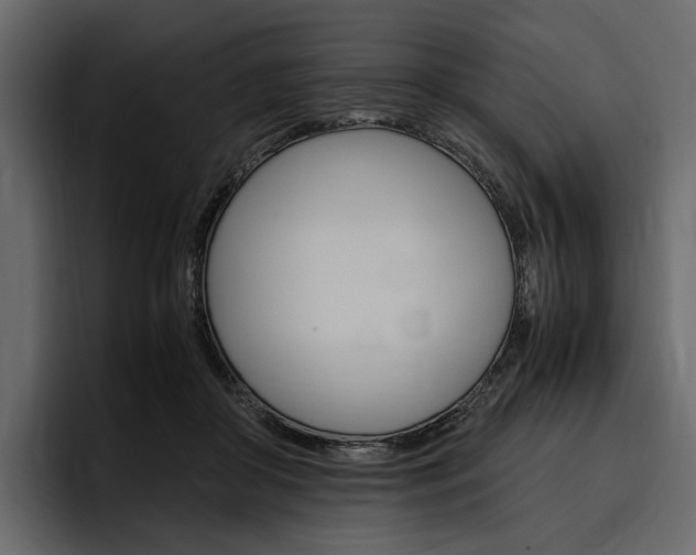 X0000097480410200802220824