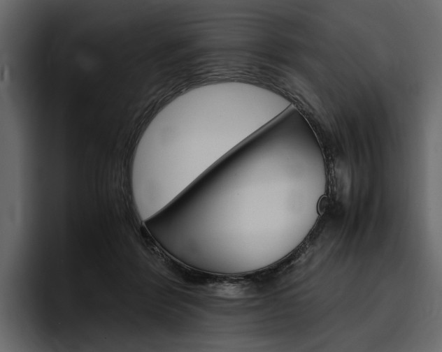 X0000097480412200802220824