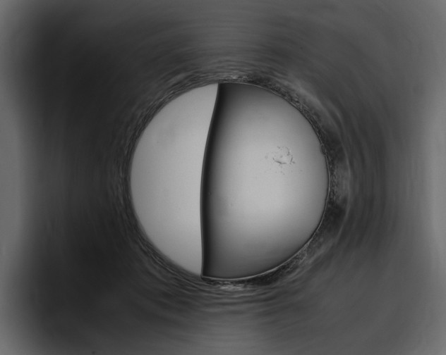 X0000097480413200802220824