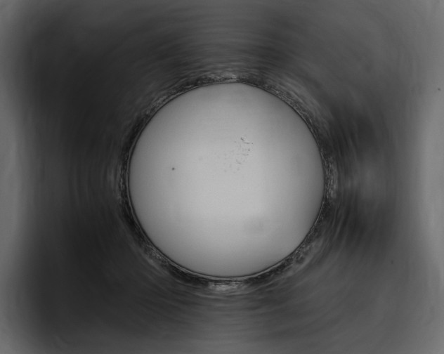 X0000097480414200802220824