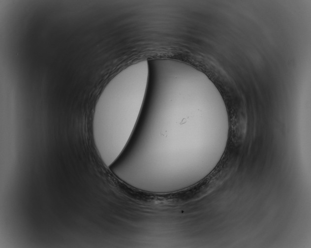 X0000097480416200802220824