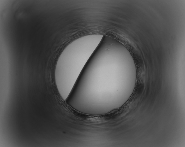 X0000097480417200802220824