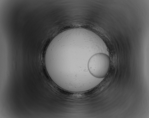 X0000097480418200802220824