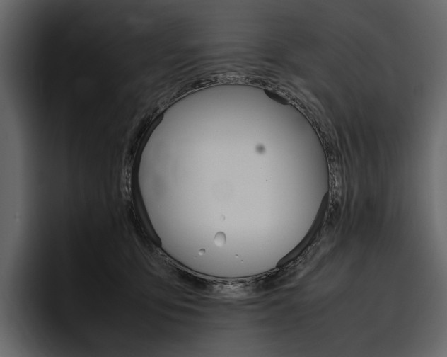 X0000097480419200802220824