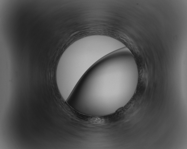 X0000097480421200802220824