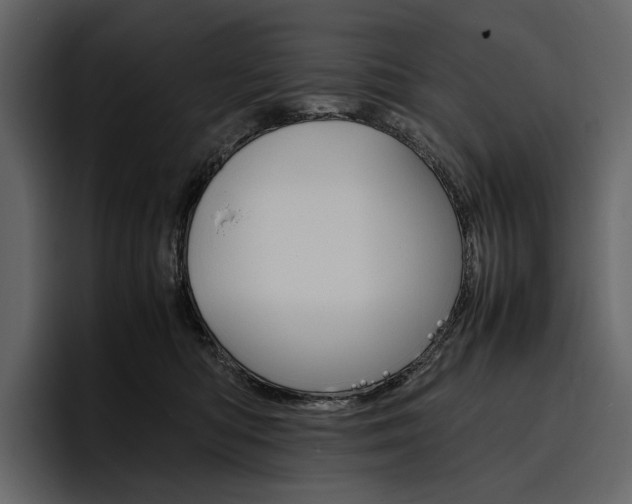 X0000097480422200802220824