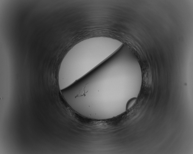 X0000097480424200802220824