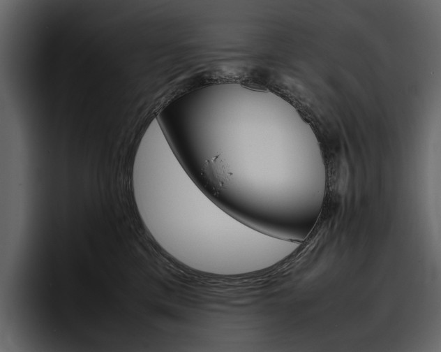 X0000097480425200802220824