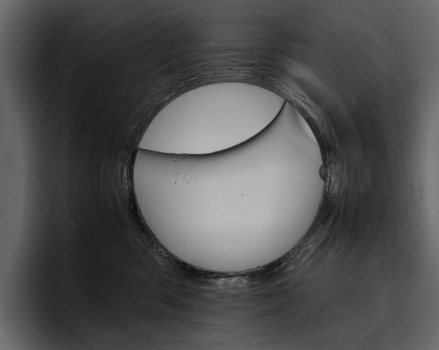 X0000097480426200802220824