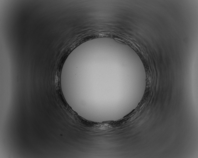 X0000097480427200802220824
