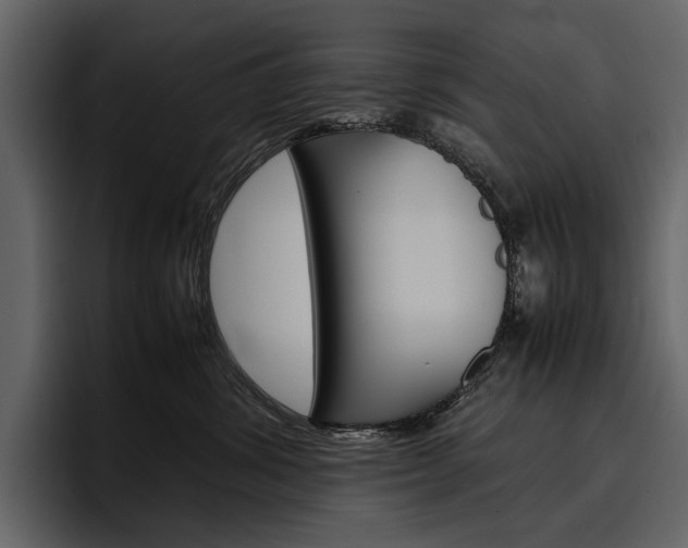 X0000097480428200802220824