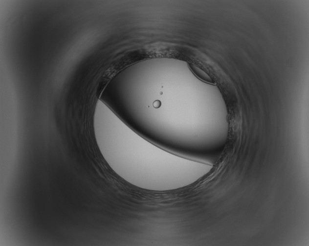 X0000097480429200802220824