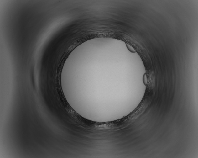 X0000097480430200802220824