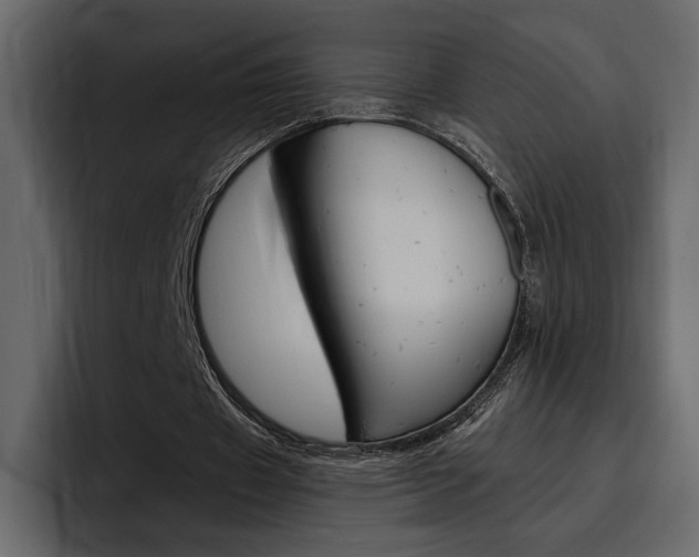 X0000097480433200802220824