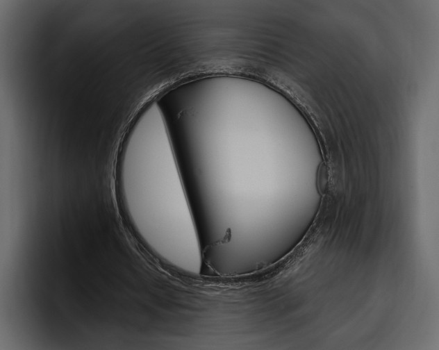 X0000097480434200802220824