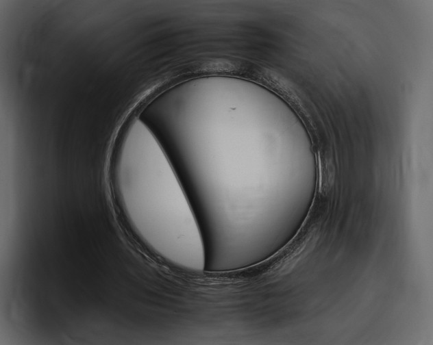 X0000097480435200802220824