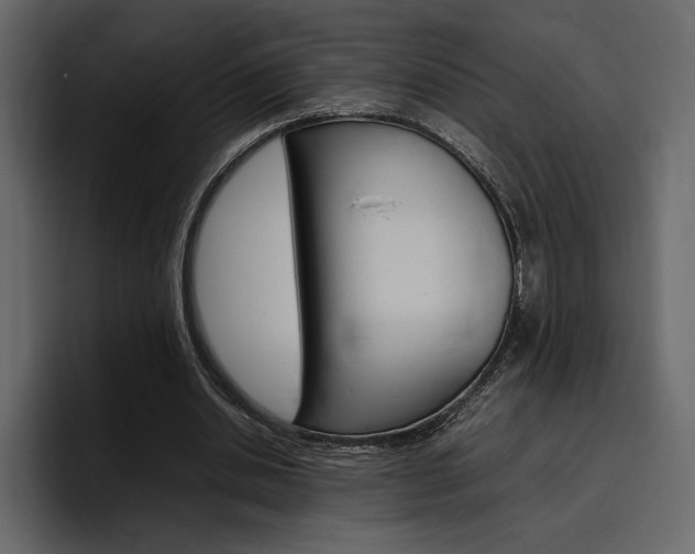 X0000097480438200802220824
