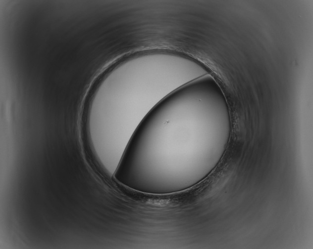 X0000097480440200802220824