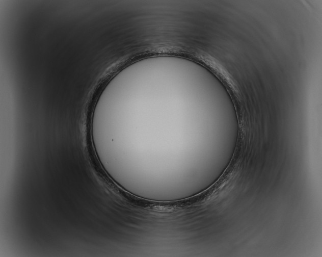 X0000097480442200802220824
