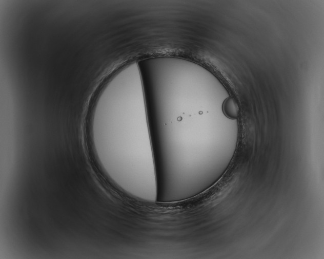 X0000097480443200802220824