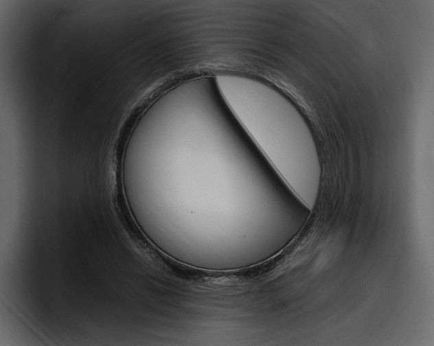 X0000097480446200802220824
