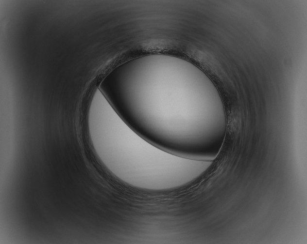 X0000097480448200802220824