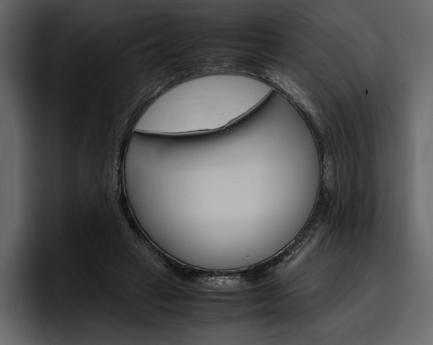 X0000097480449200802220824