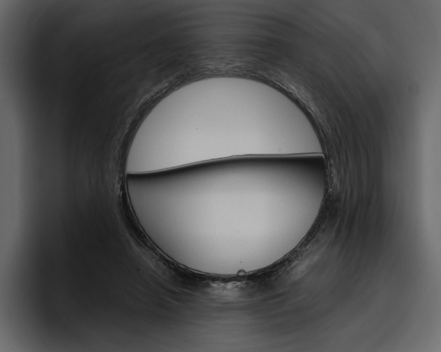 X0000097480450200802220824