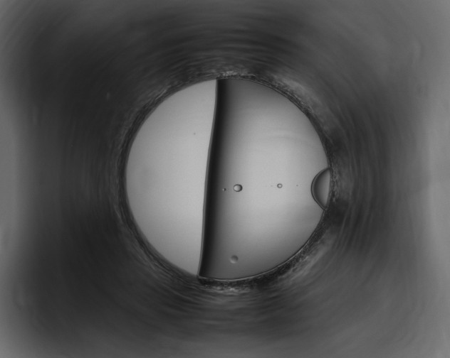X0000097480453200802220824