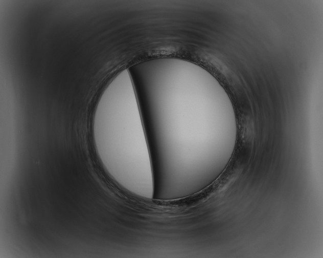 X0000097480455200802220824
