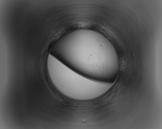 X0000097480456200802220824