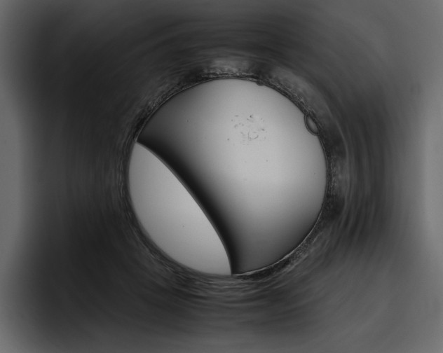 X0000097480457200802220824