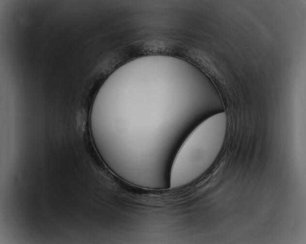X0000097480458200802220824