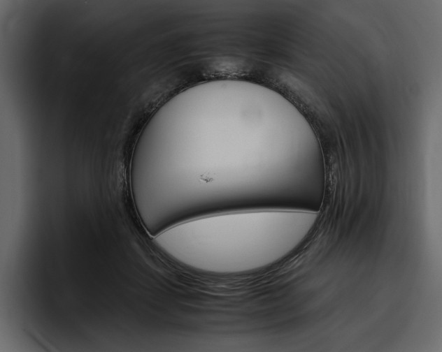 X0000097480459200802220824
