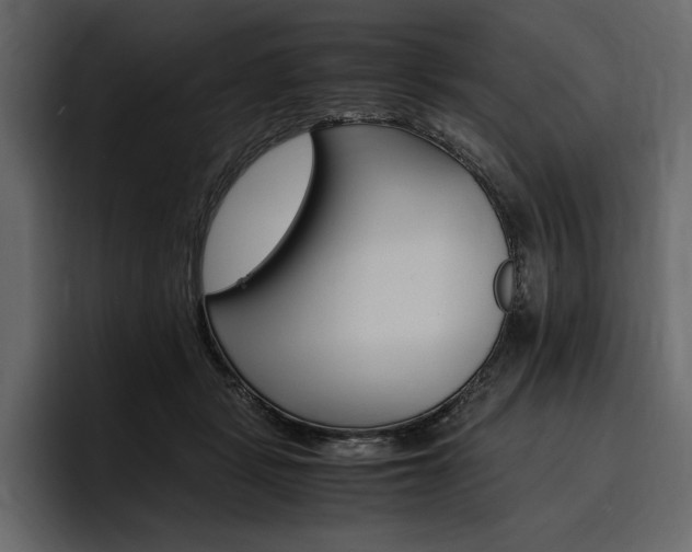 X0000097480461200802220824