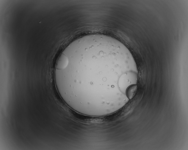 X0000097480462200802220824