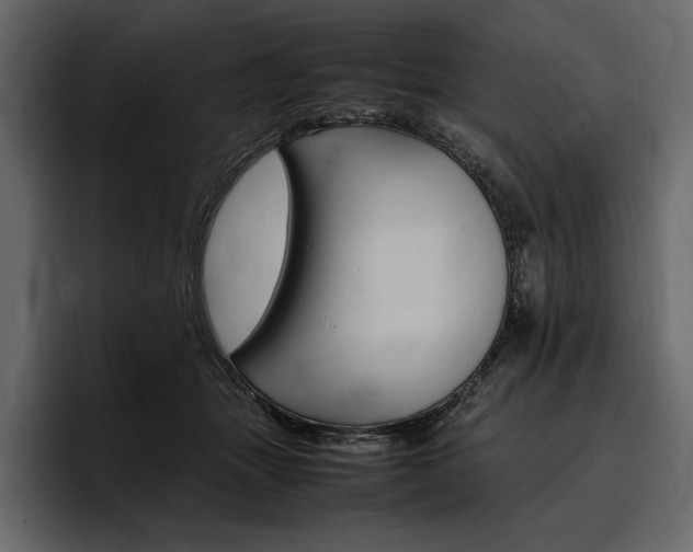 X0000097480463200802220824