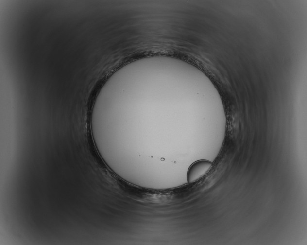 X0000097480466200802220824