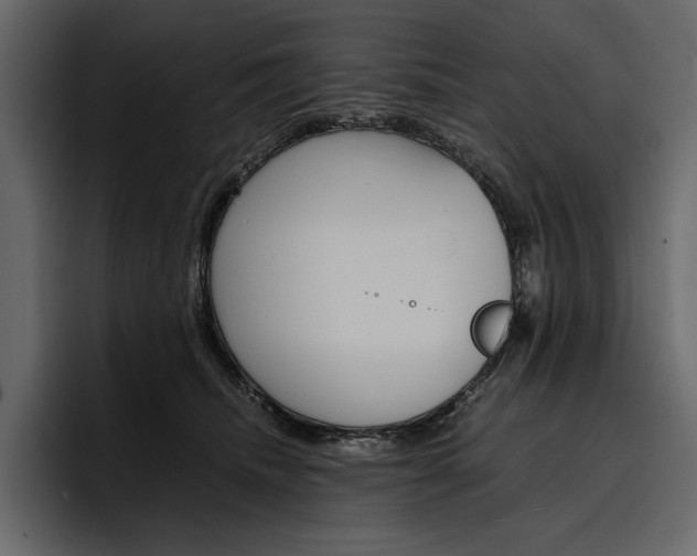 X0000097480468200802220824