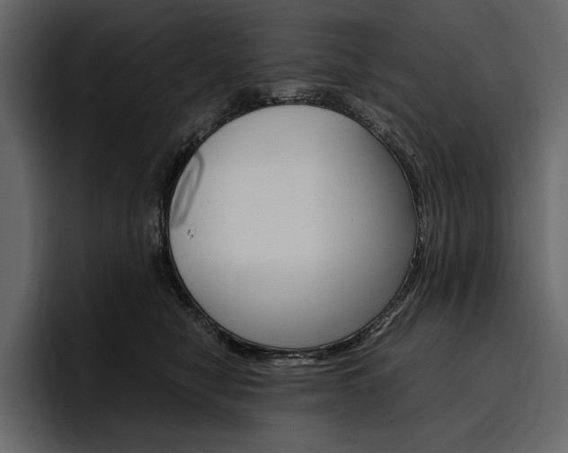 X0000097480470200802220824