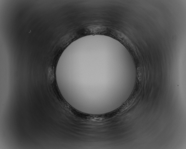X0000097480471200802220824