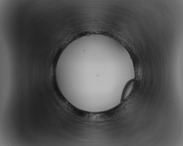 X0000097480472200802220824