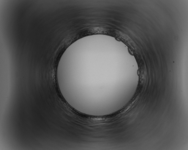 X0000097480473200802220824