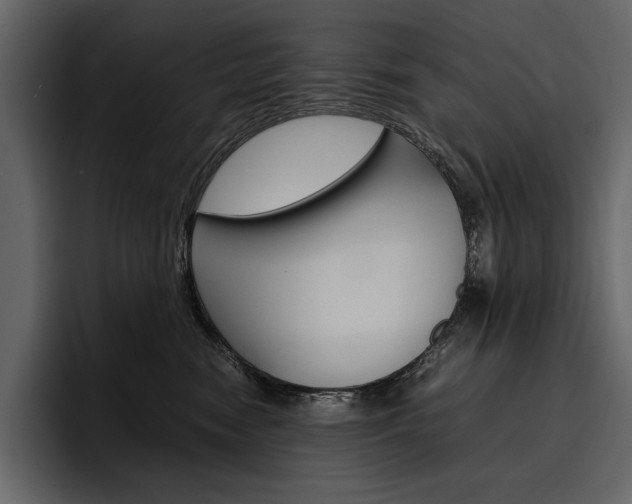 X0000097480474200802220824