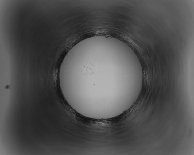 X0000097480475200802220824