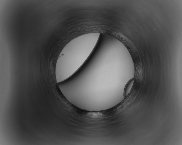 X0000097480477200802220824
