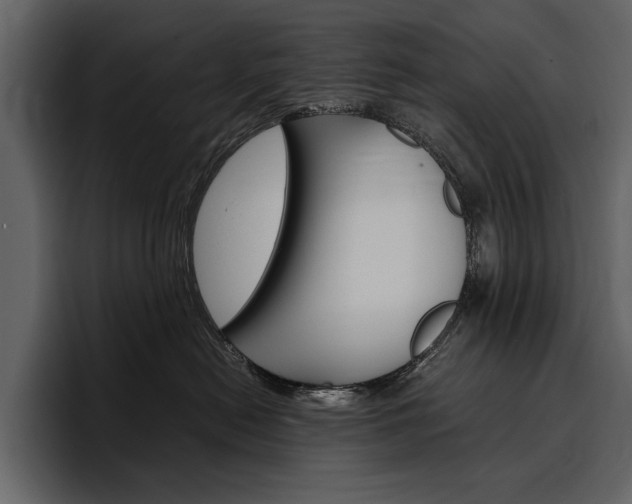 X0000097480478200802220824