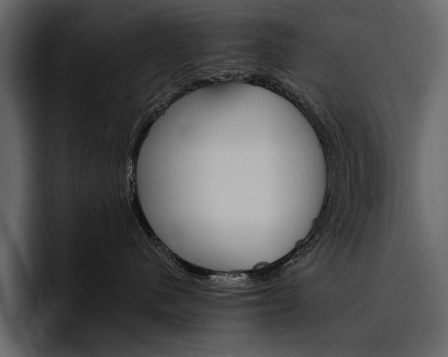 X0000097480480200802220824