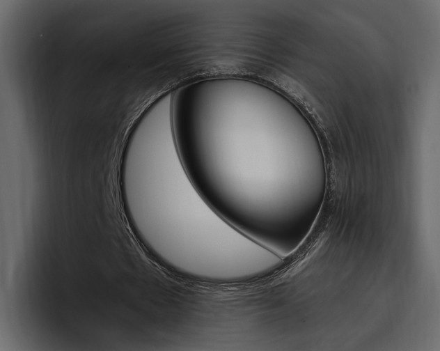 X0000097480481200802220823