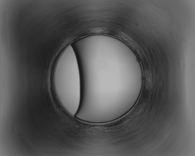 X0000097480482200802220823